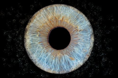 photo iris vienne isère